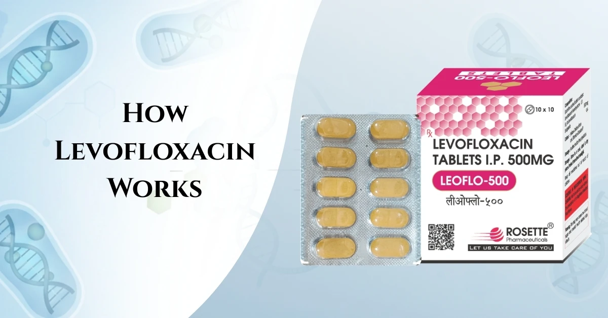 How Levofloxacin Works